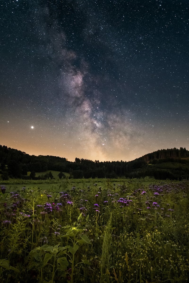 Galactic Love